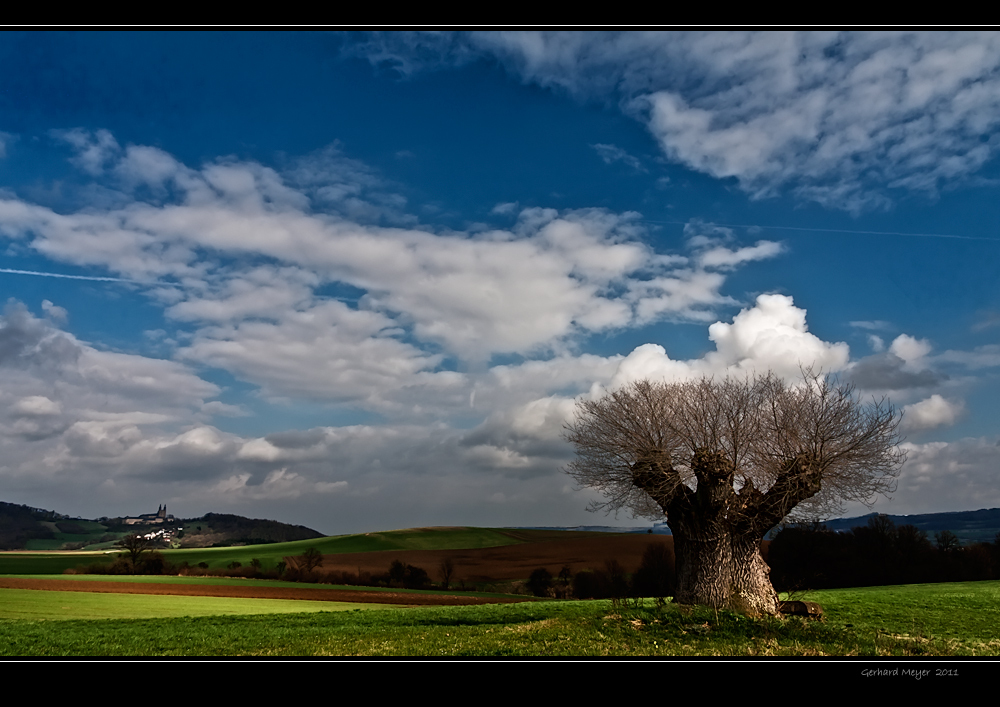 [ Hüter des Feldes ]