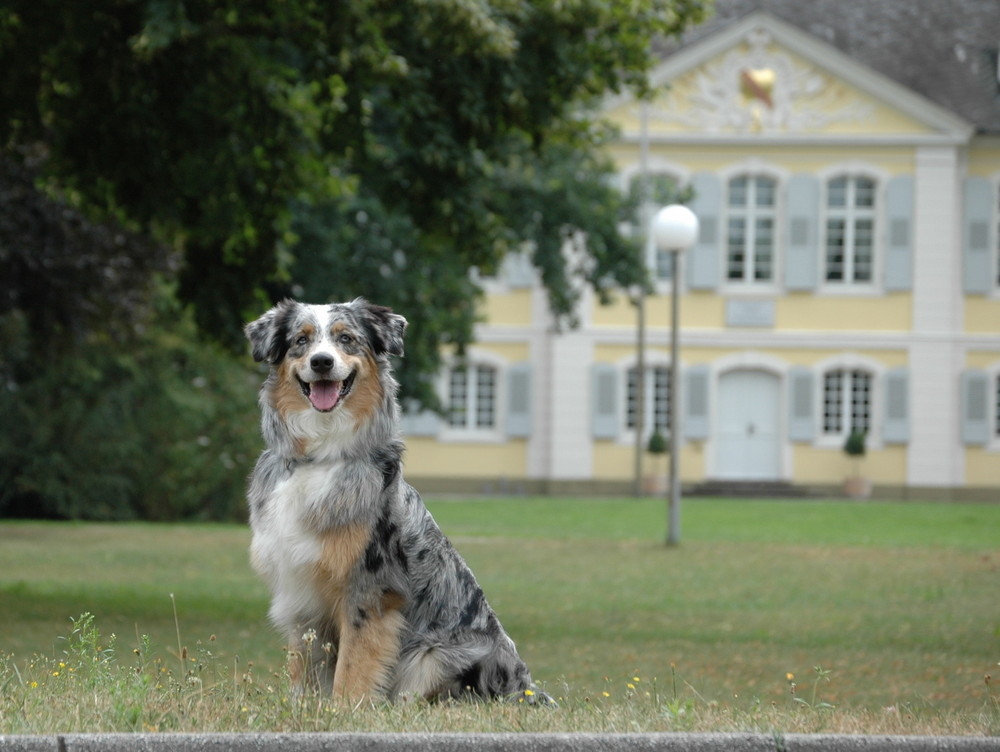 Hüterin des Schloß Stutensee