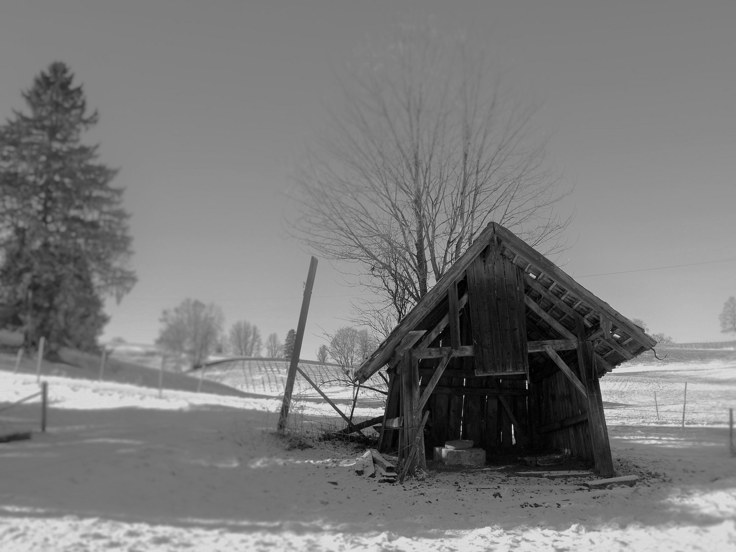 Hütte