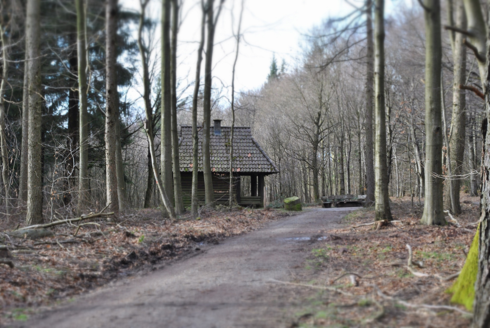 Hütte