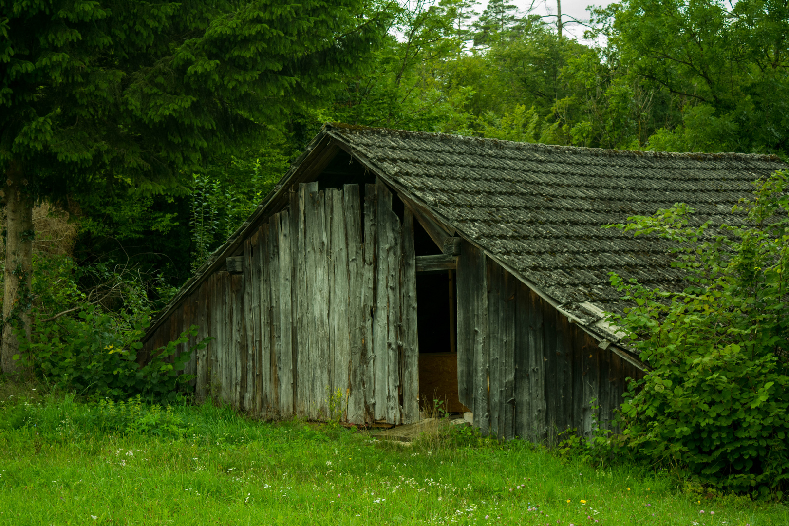 Hütte