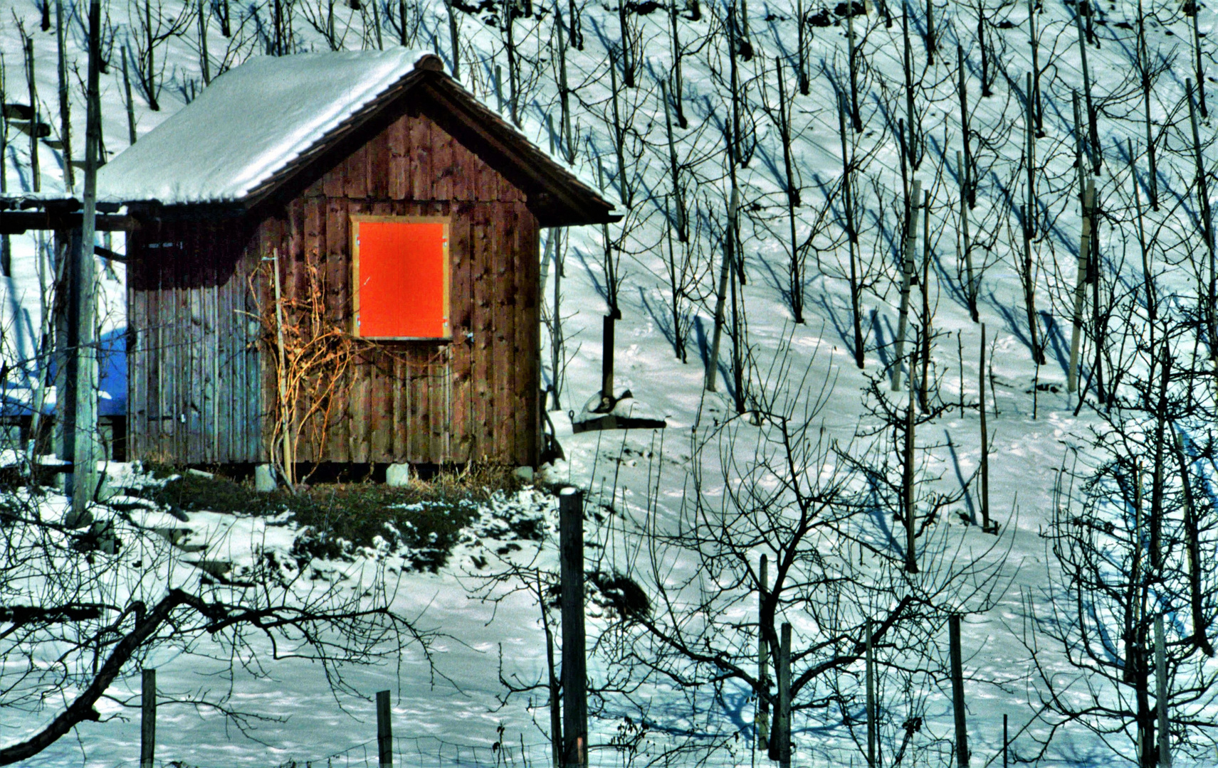 Hütte