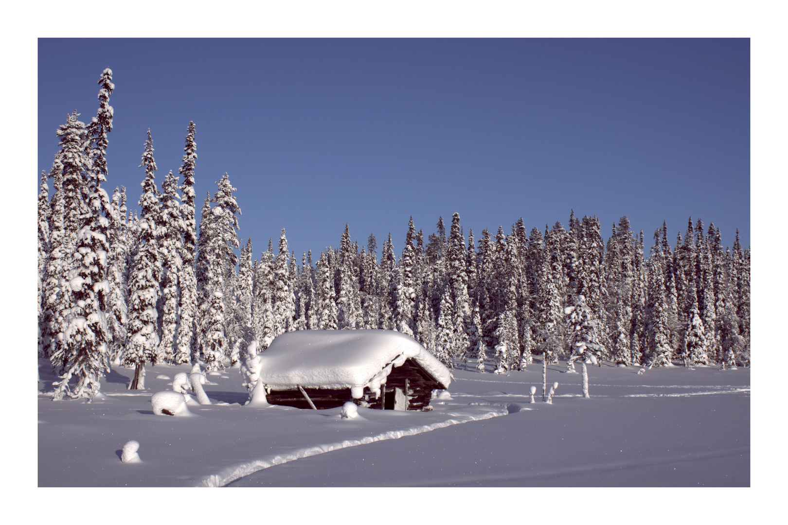 Hütte