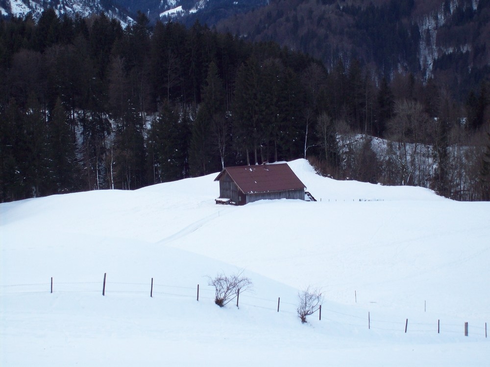 Hütte