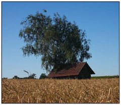 Hütte am Feld