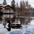 Hütte am Fichtelsee