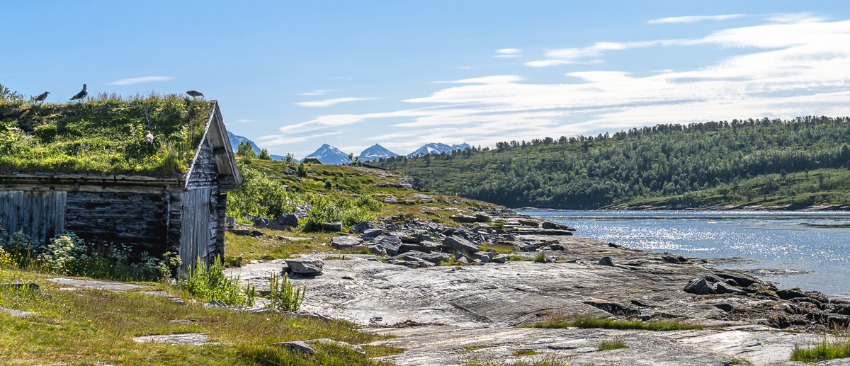 Hütte am Fjord