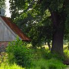 Hütte am Fluss