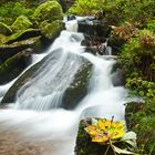 Hütte am Gertelbachwasserfall