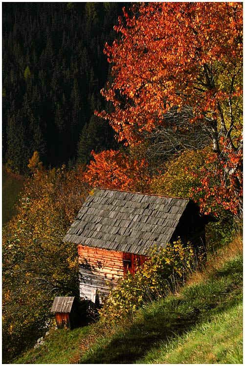 Hütte am Hang