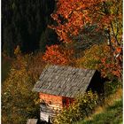 Hütte am Hang