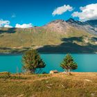 Hütte am Lac du Mont Cenis