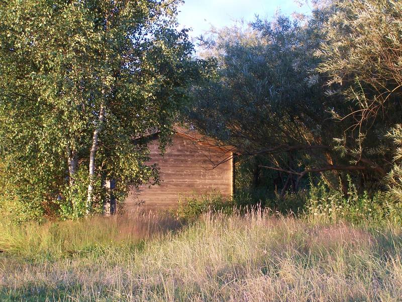 Hütte am Rande des Märchenwaldes