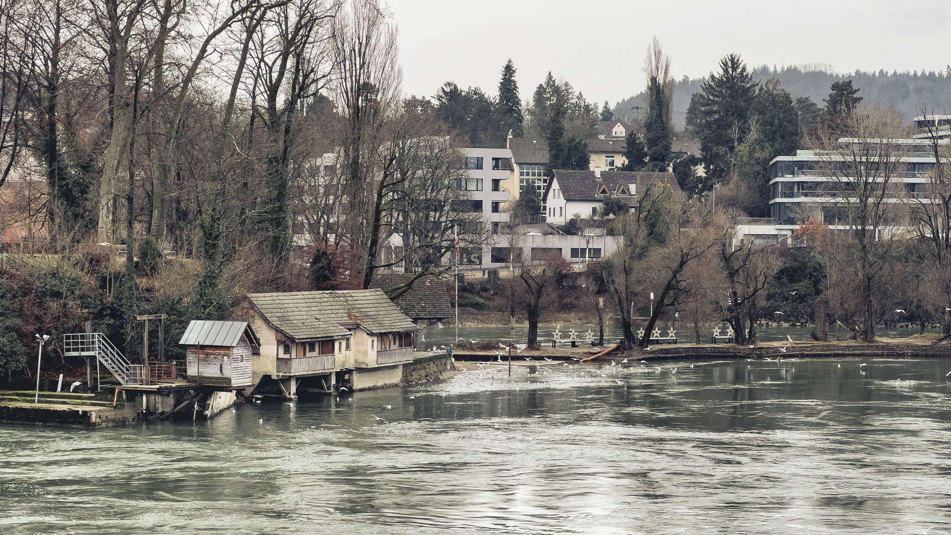 Hütte am Rhein