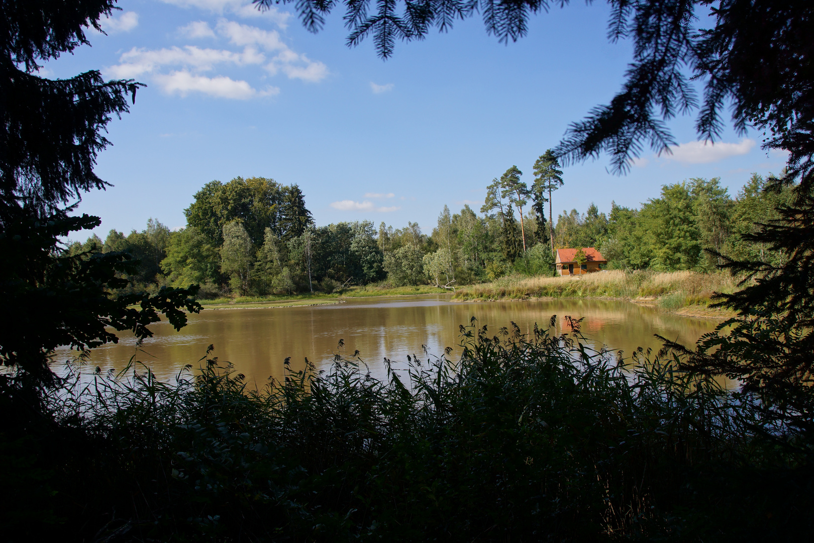 Hütte am See