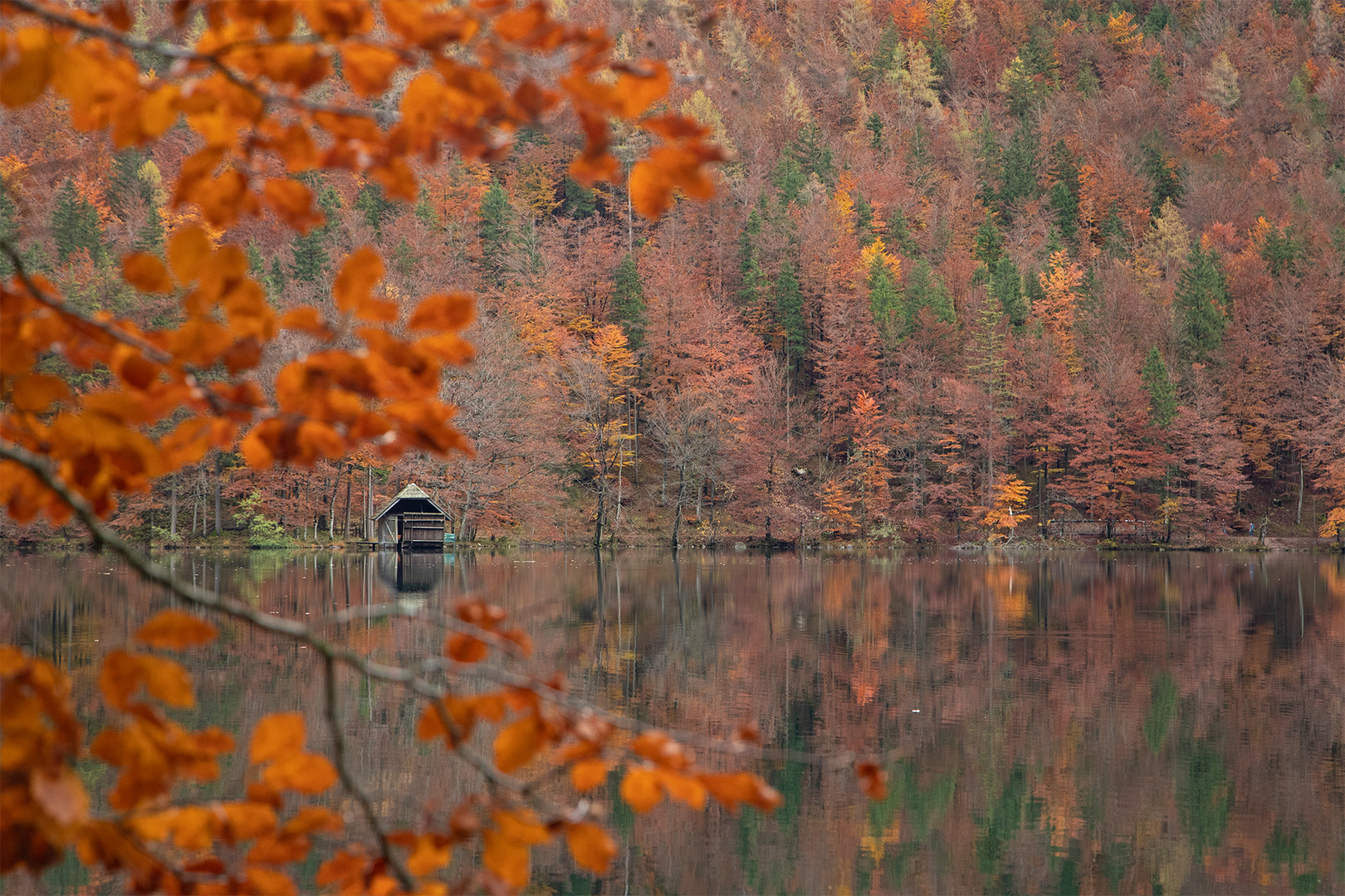 Hütte am See 2