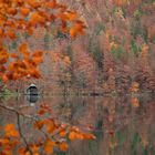 Hütte am See 2