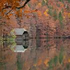 Hütte am See 3