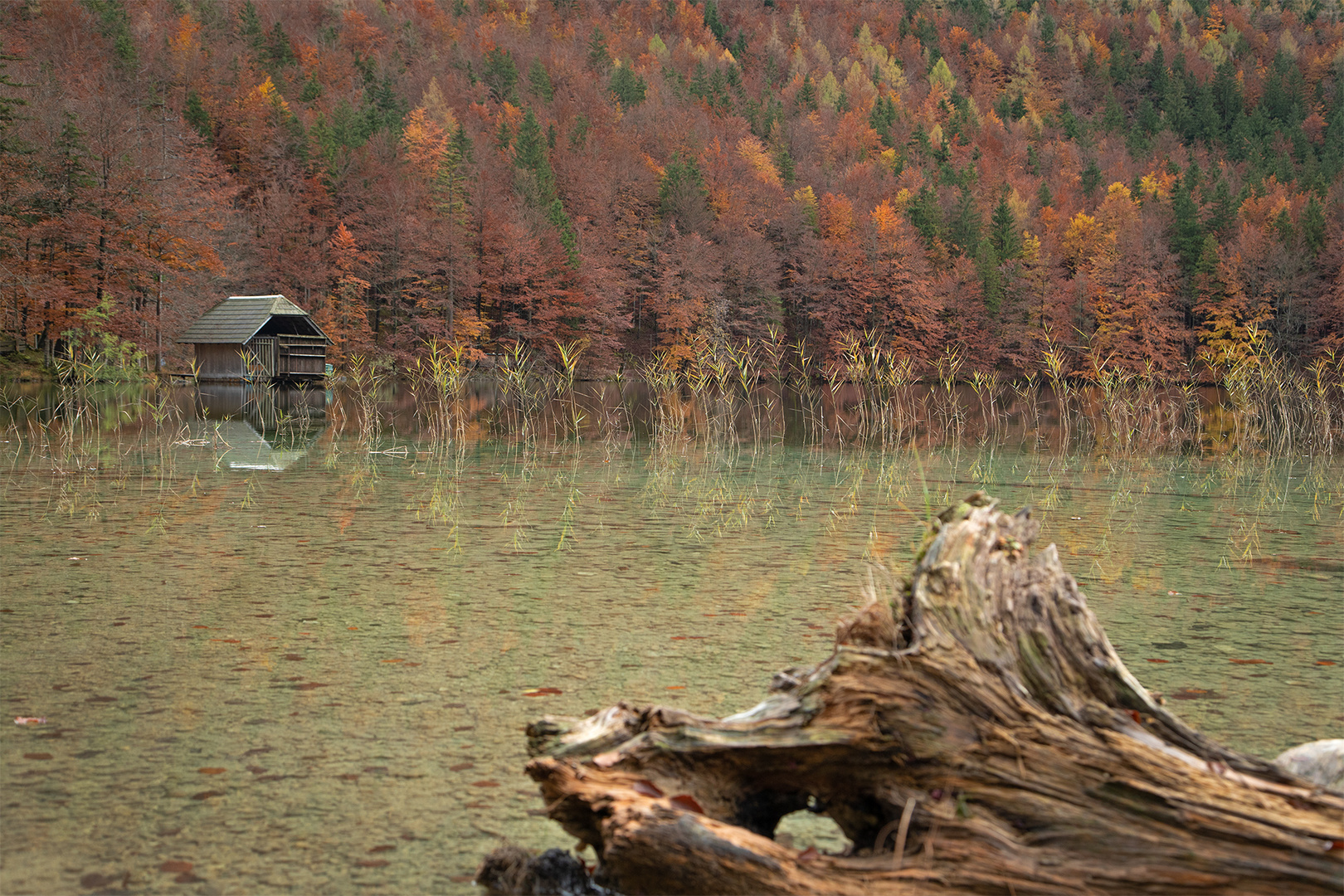 Hütte am See 4