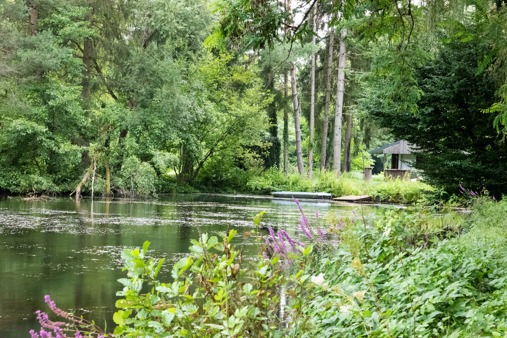 Hütte am See Foto & Bild landschaft, bach, fluss & see, see, teich