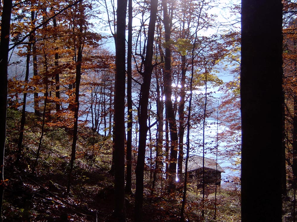 Hütte am See