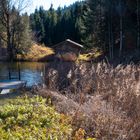 Hütte am See 