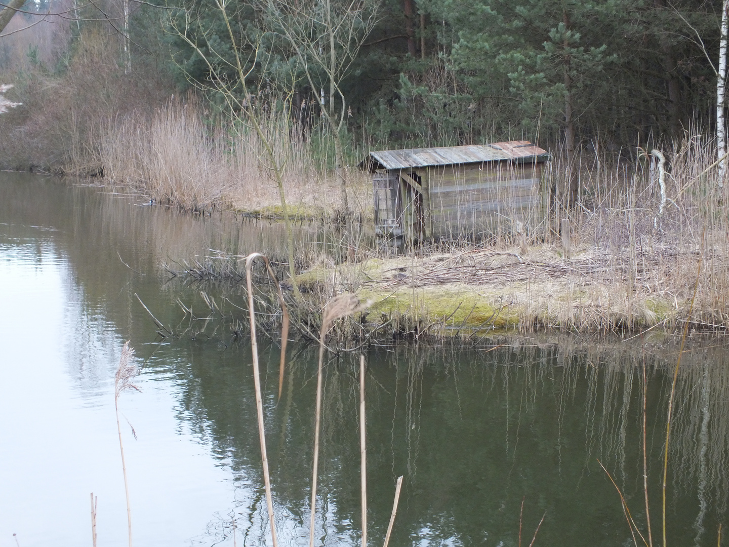 Hütte am See