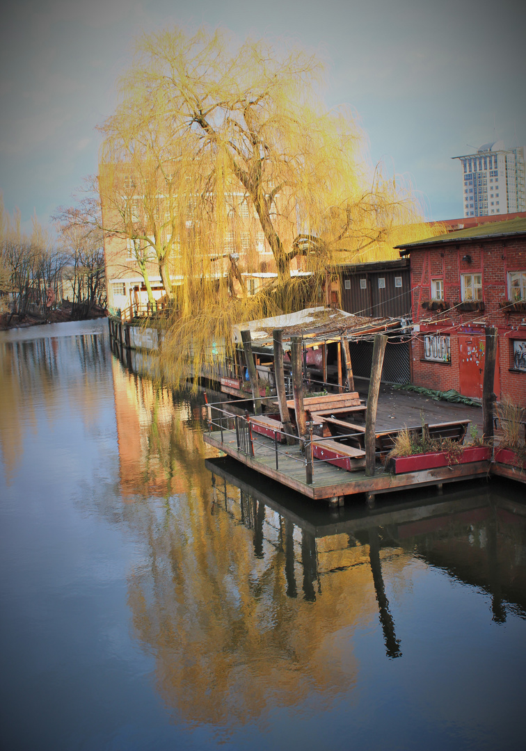 Hütte am Spreekanal