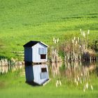 Hütte am Teich