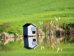 Hütte am Teich