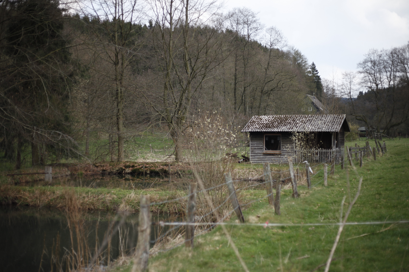 Hütte am Teich