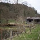 Hütte am Teich