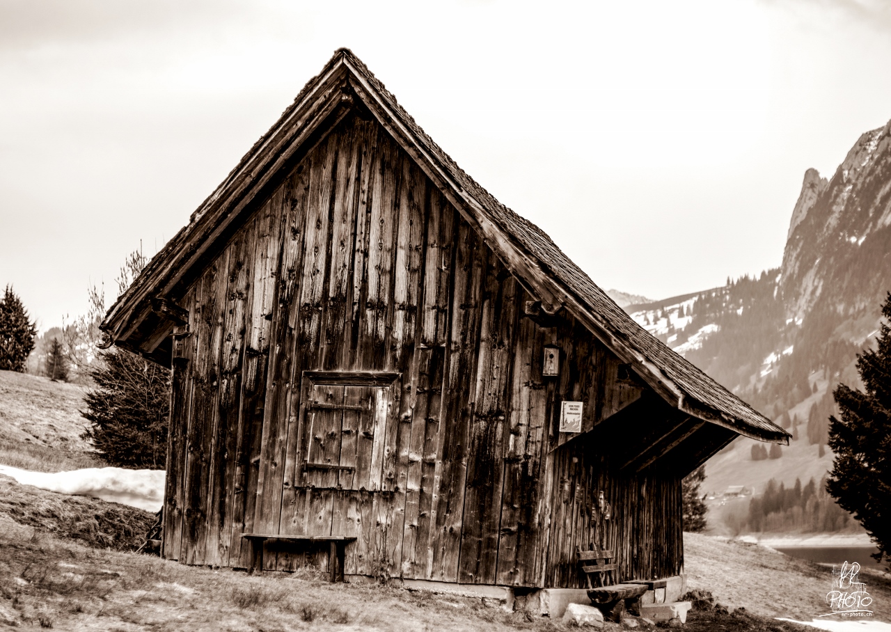 Hütte am Wägitalersee