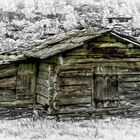 Hütte am Wald