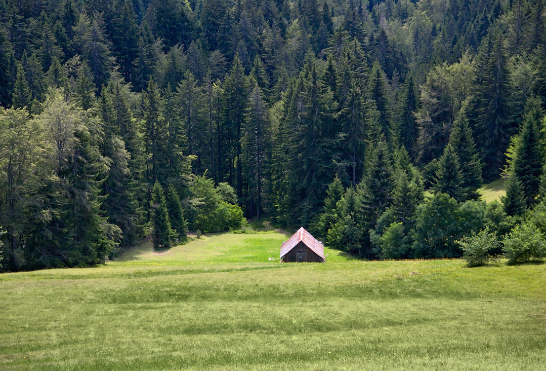 Hütte am Wald