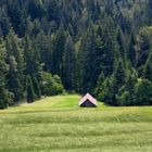 Hütte am Wald