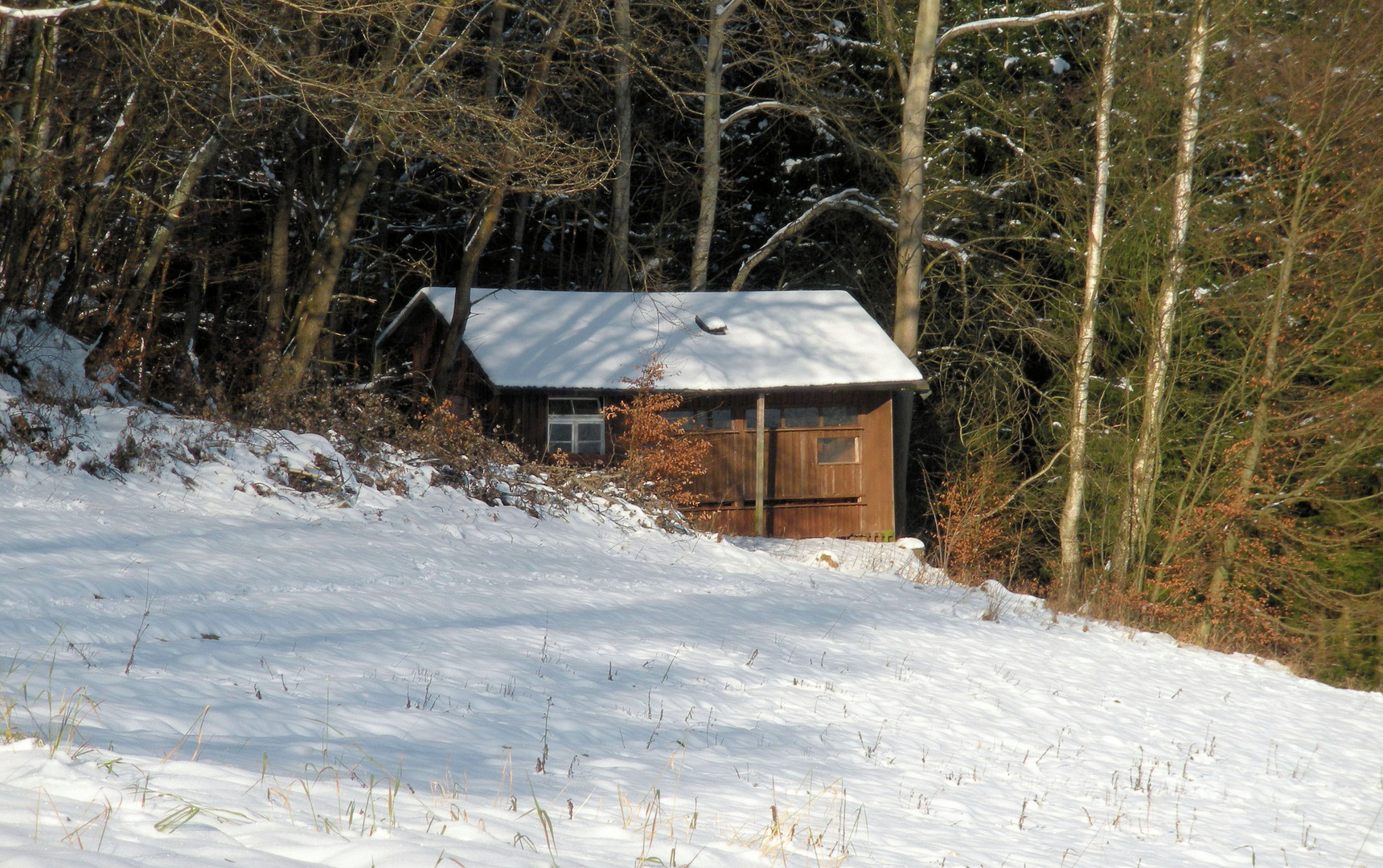 Hütte am Wald