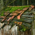 Hütte am Waldesrand