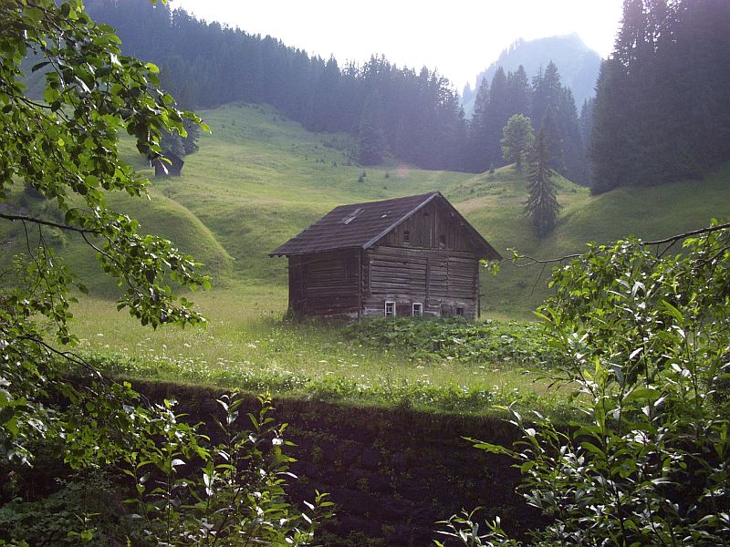 Hütte am Waldesrand