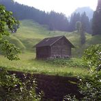 Hütte am Waldesrand