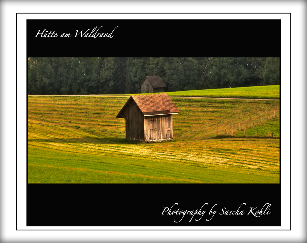 Hütte am Waldesrand