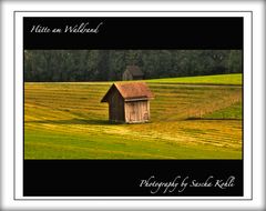 Hütte am Waldesrand