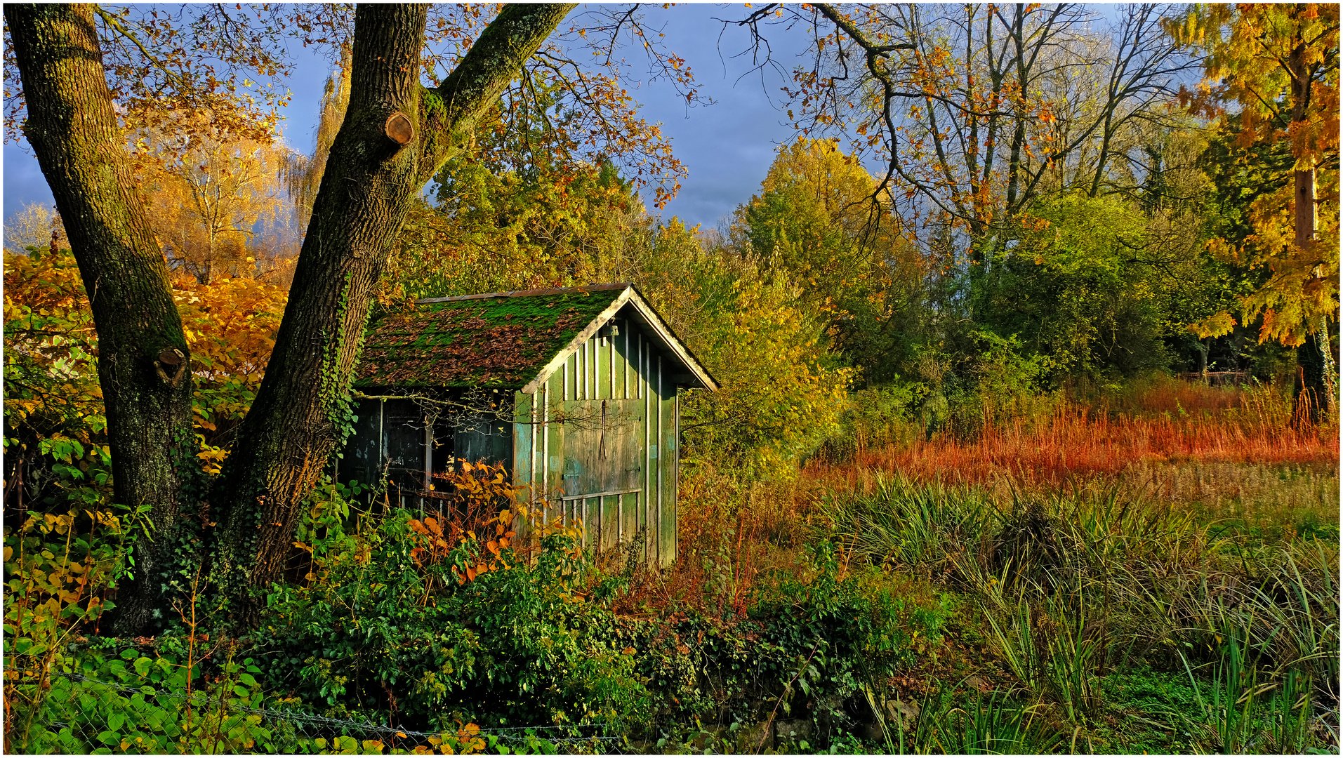 Hütte am Waldrand