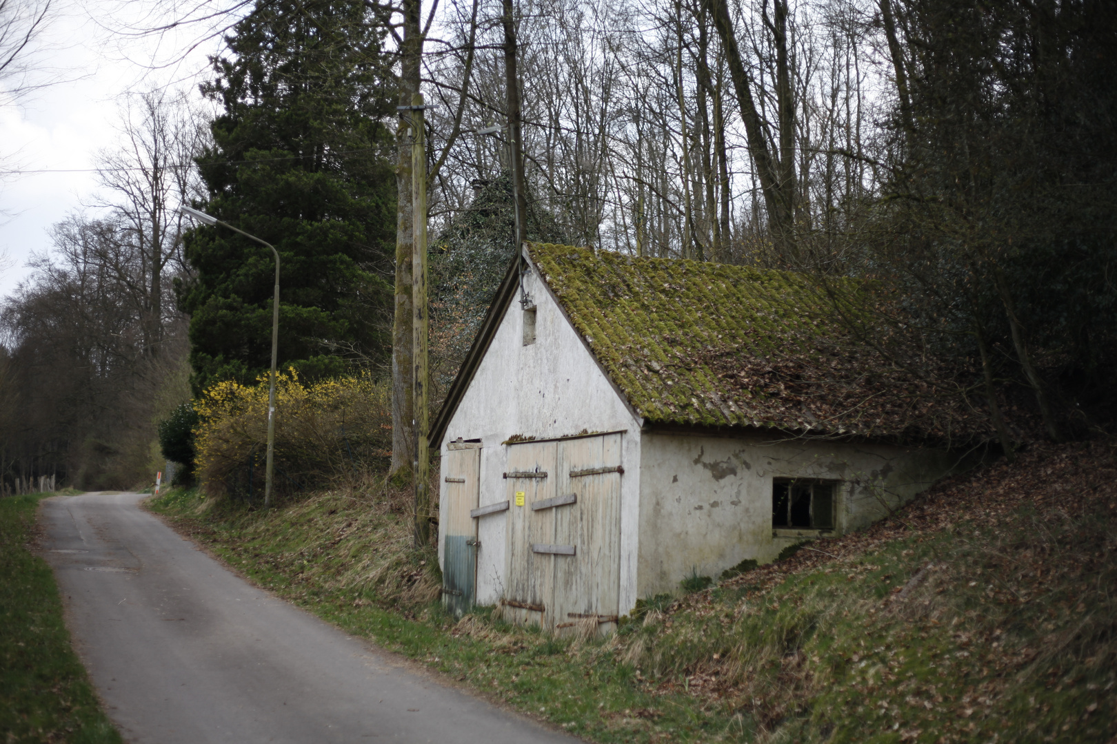 Hütte am Waldrand