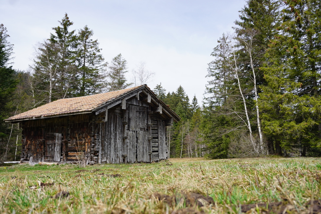 Hütte am Waldrand