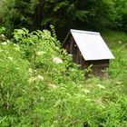 Hütte am Waldrand