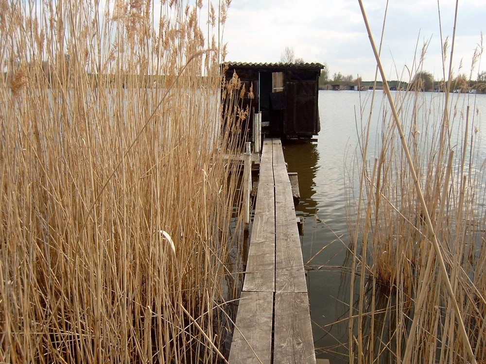 Hütte am Weiher