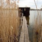 Hütte am Weiher