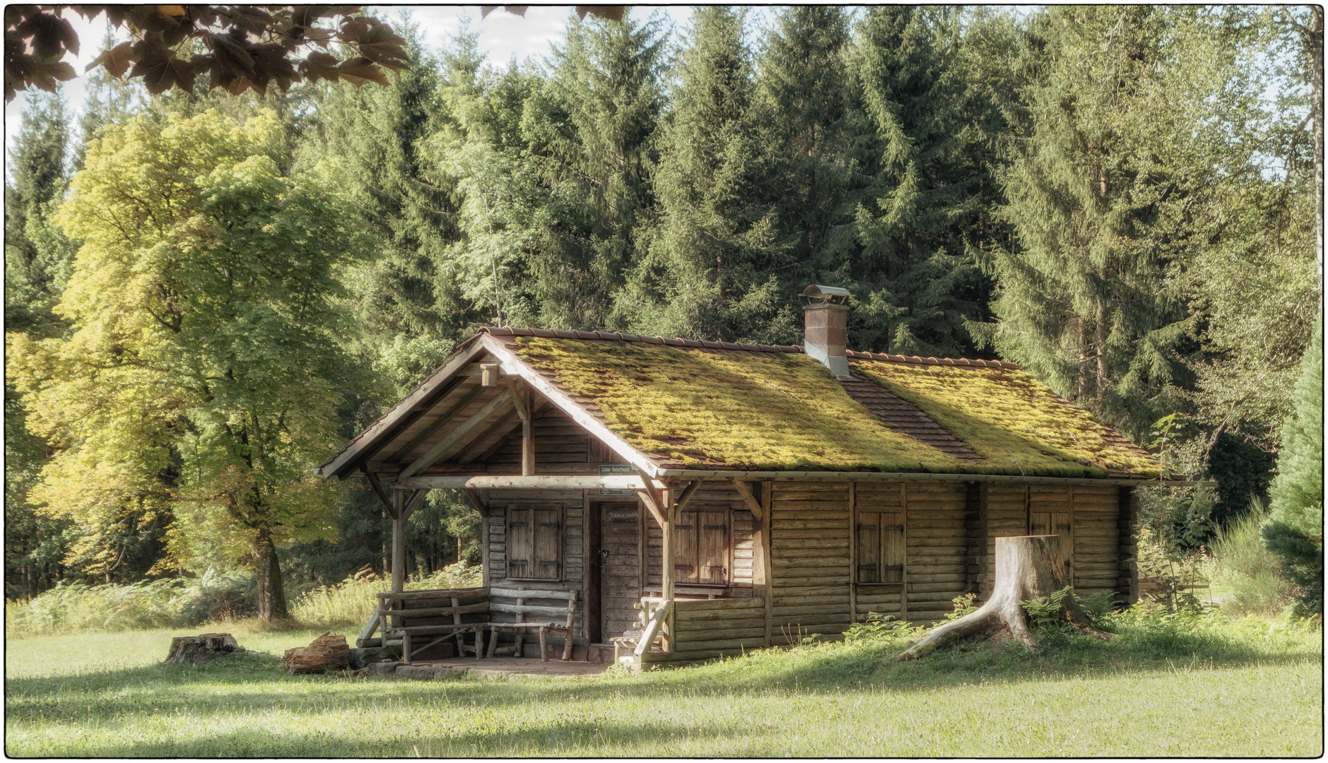 Hütte am Westweg im Schwarzwald 