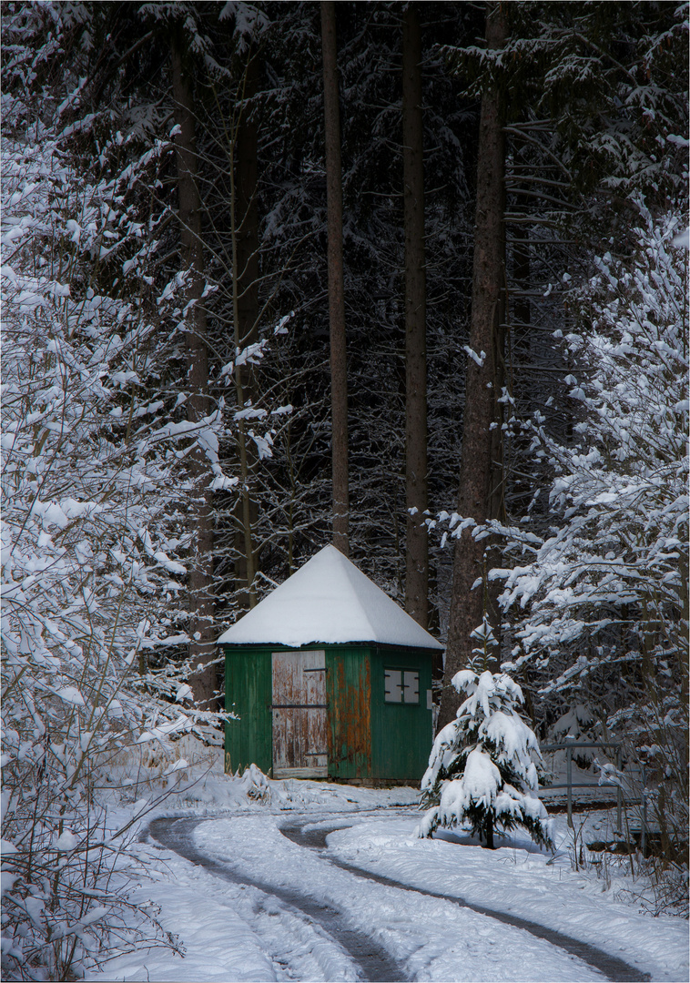 Hütte an unserer Saidenbachtalsperre 